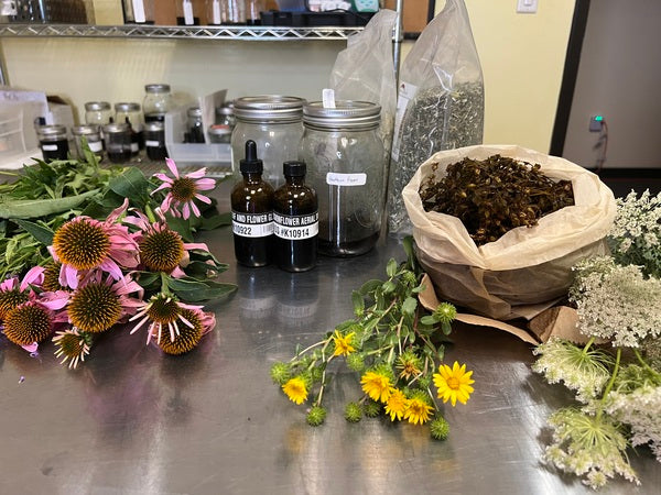 Boneset & Elderberry Seasonal Support Tincture Recipe