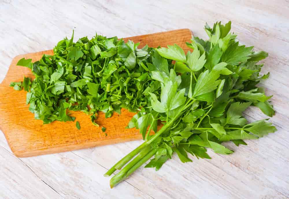 Lovage and Potato Soup Recipe
