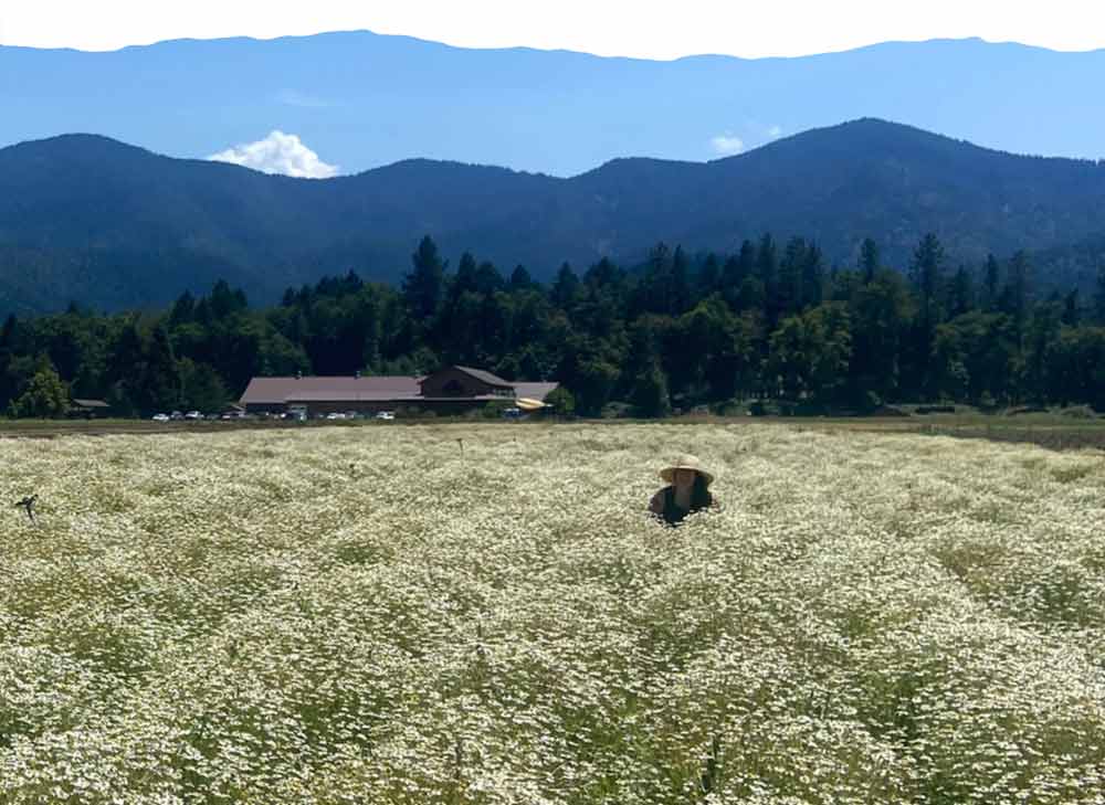 Intentional Sourcing: WishGarden’s Way