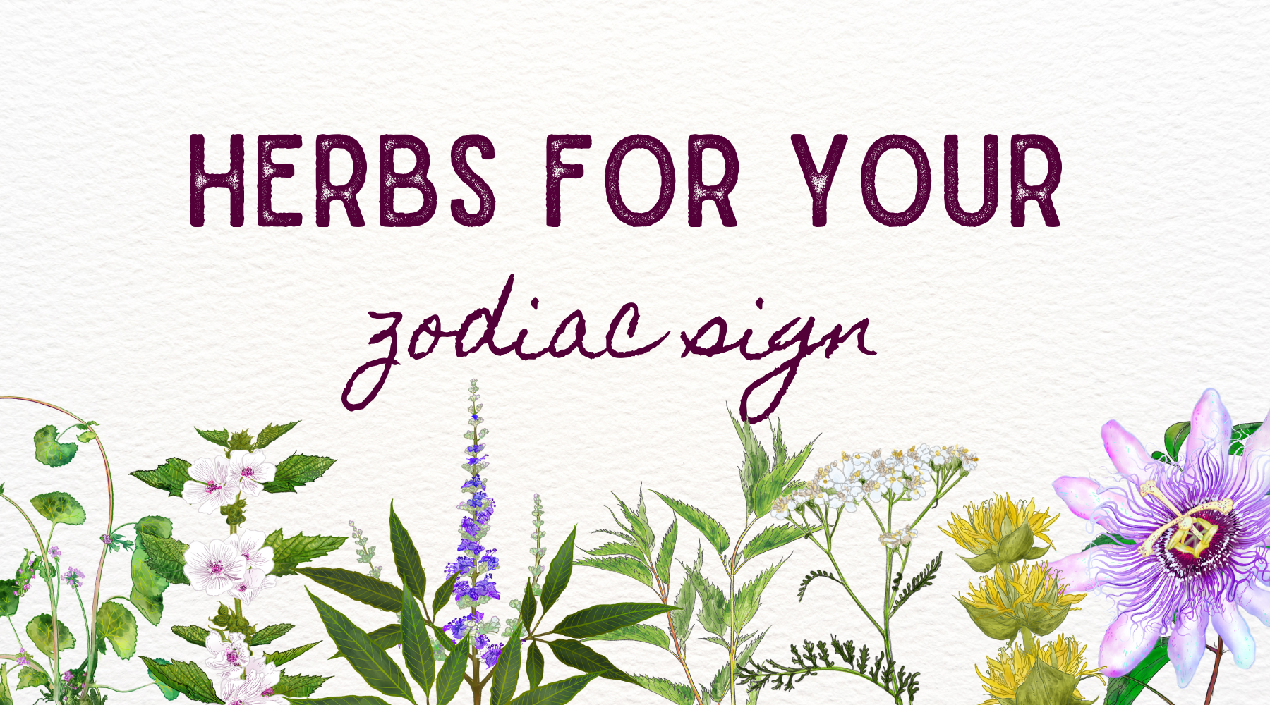 Zodiac Botanicals: Discover Your Herbal Soulmate