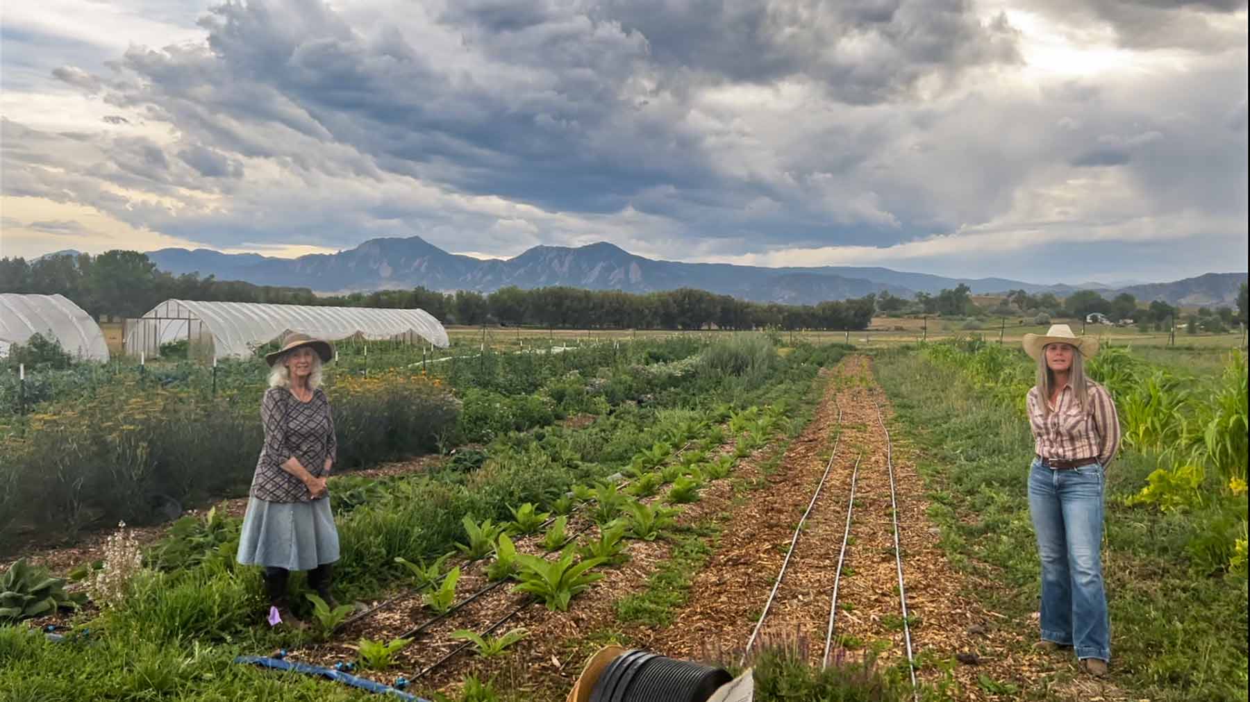 Revitalizing Herbal Culture in the Rockies: HerbiCulture Hub Report