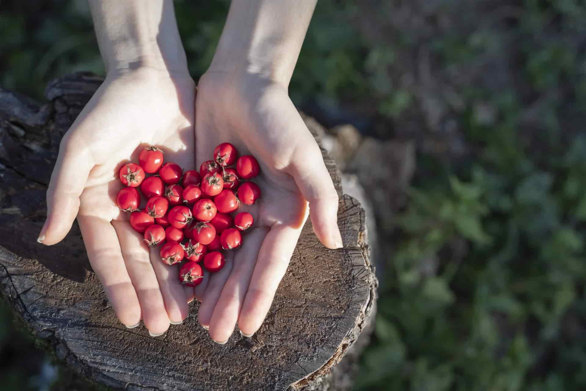 Love and Connection: How to Support a Healthy Love Life with Herbs