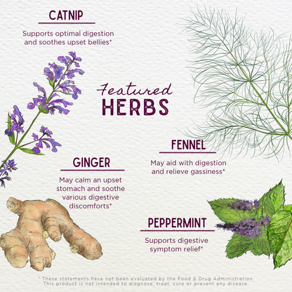 Featured Herbs in Digestive Rescue GI Normalizer
