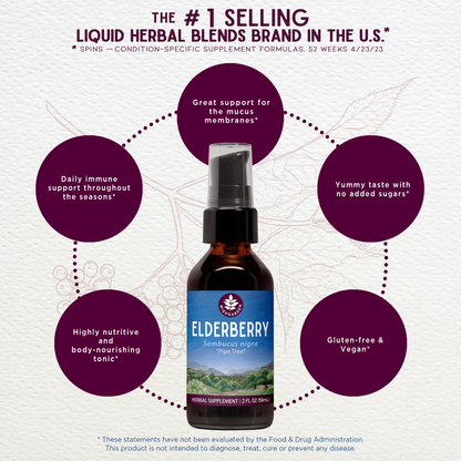 Benefits of Elderberry