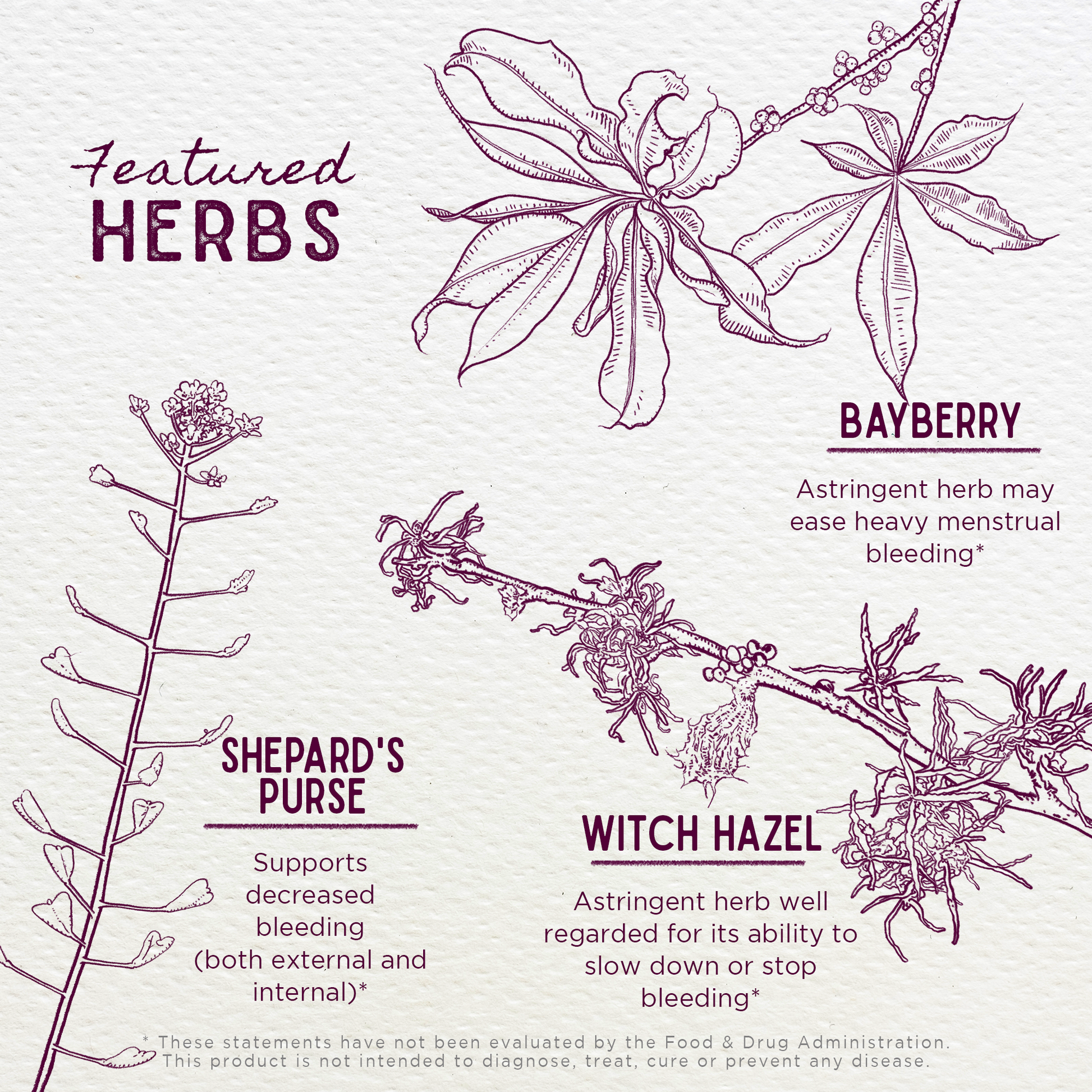 Featured Herbs in Flow Stopper Lingering Cycle