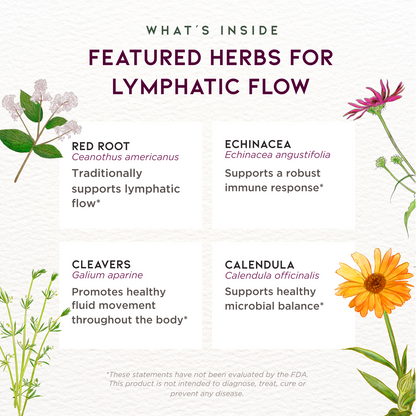 Featured Herbs in Lymph Mover, Immune Strength