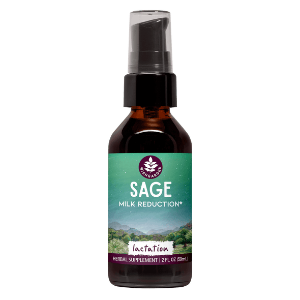 Sage Milk Reduction 2oz Pump