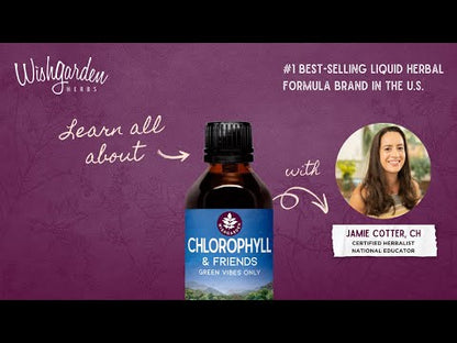 Chlorophyll & Friends